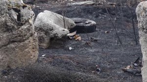 ПОДЖОГ ТРАВЫ ПРИВЕЛ К ПОЖАРУ И ОЖОГАМ