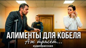 «АЛИМЕНТЫ ДЛЯ КОБЕЛЯ». Зал аплодировал судье стоя... Лучшие рассказы до мурашек... Жизненные истории