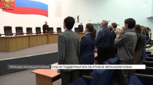 Требовали отменить эвтаназию собак: какое решение принял суд