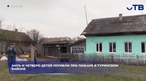 Мать и четверо детей погибли при пожаре в Туринском районе