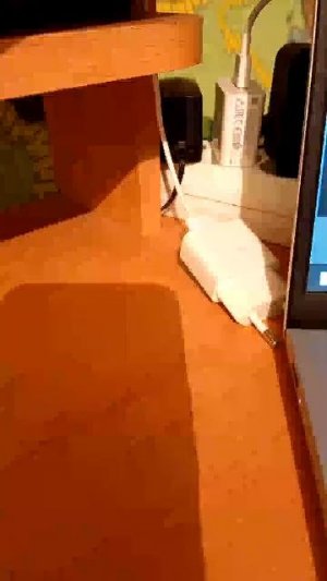 стрим