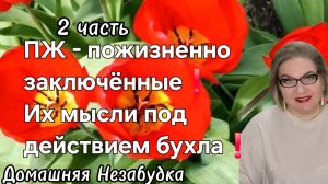 2 часть. ПЖ - пожизненно заключённые. Их мысли под действием бухла❗️