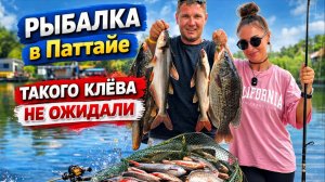 Секретные места для рыбалки в Паттайе | Клюёт без остановки 🎣