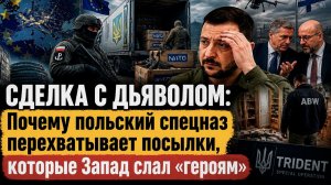 «ТРОЯНСКИЙ КОНТРАБАС»: Миллионы стволов, посланных Киеву, возвращаются, чтобы взорвать ЕС изнутри