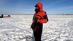 Рыбалка ХМАО «Бурый окунь»
