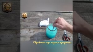 Обрабатываем сад медным купоросом.