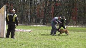 05-02-2026_ЧР по БРР Группа Б Второй участник 4 этап