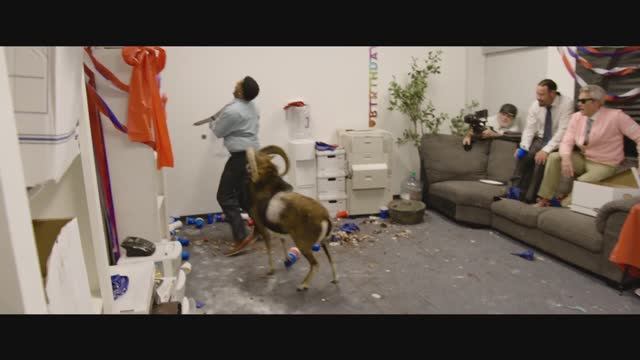Чудаки: Лучшее и последнее (Jackass: Best and Last) — трейлер фильма