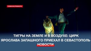 Цирк Ярослава Запашного выступил в Севастополе c программой «Тигры на земле и в воздухе»