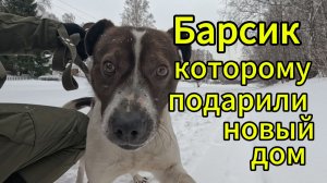 БАРСИК обрел новый дом и иногда даже прогулки)