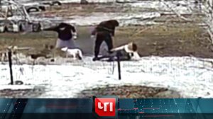«ЧП»: 5 мая 2026 года | «Чрезвычайное происшествие» на НТВ
