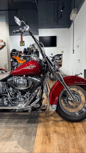 2006 HD Softail Heritage Willie G 37K (VIN *5HD*8565)
