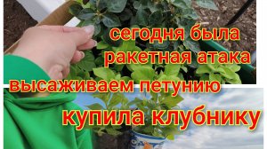 Съездили на ярмарку/Высаживаю петунию и перец/Ночью была ракетная атака/Очень много работы.