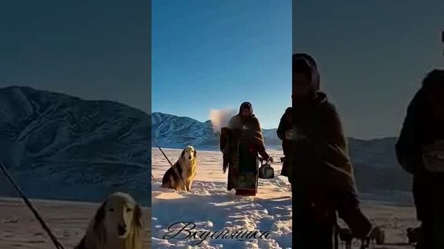 Вкусняшка
