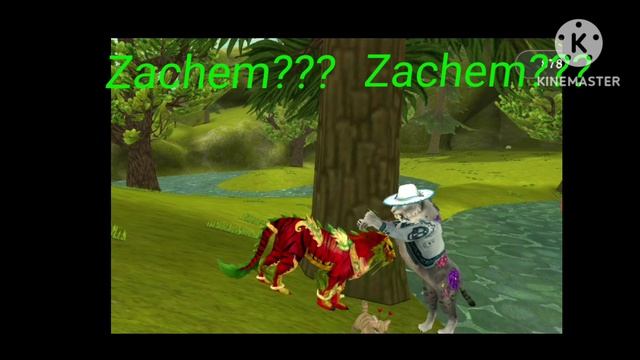 Wildcraft тик ток Zachem???
