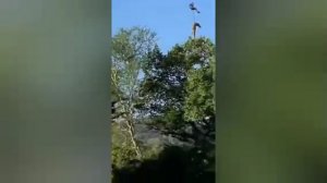Крокодил из парка Крюгера оказался серийный людоедом. 

Внутри убитого хищника обнаружили две челове
