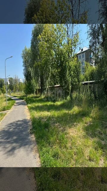 9051892 смотреть онлайн