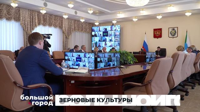ЗЕРНОВЫЕ КУЛЬТУРЫ. Большой город 05/05/2026