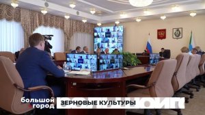 ЗЕРНОВЫЕ КУЛЬТУРЫ. Большой город 05/05/2026
