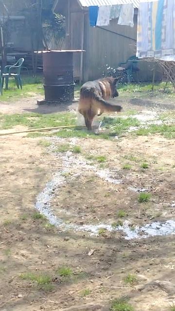 Атос смотреть онлайн