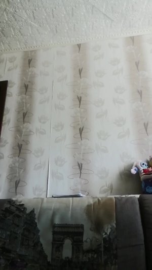 Чаепитие с Цезарем