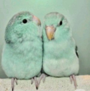 ответы на вопросы