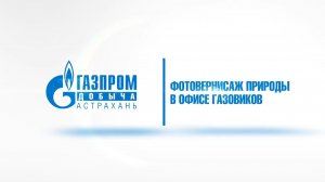 Фотовернисаж «Заповедная дельта»