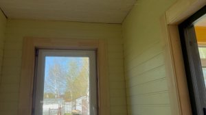 Стаи лягушек. Приехали гости. Опять полный дом собак