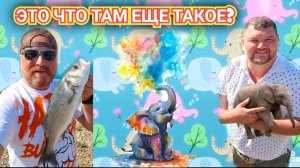 ПАША УВИДЕЛ СЛОНА, А ОЛЕГ РЫБУ -ЭТО НЕ ШИЗОФРЕНИЯ. ЧТО ТАМ В РЕКЕ ТАКОЕ БЛЕСТИТ. ЖАРКО ПРОЧТИ ЛЕТО.