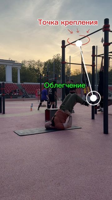 Ягодичный мост TRX