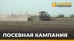 Сев масличных культур продолжается на Херсонщине