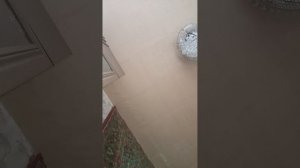 тестику приятного слаткое и не хвастаюсь