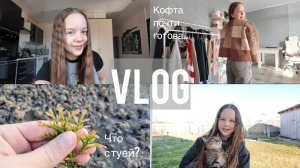 Vlog/ Лайфстайл💫  /У меня залетел рилс!🫣/ Удивительный день🤭