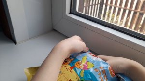 Распаковка 3 кота