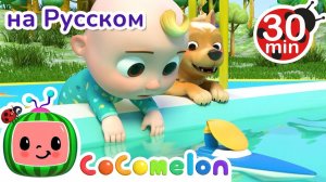 Гонка на Воздушных Шарах # 30 минут # Сборник # CoComelon на русском — Детские песенки