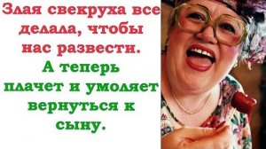 Свекровь из кожи вон лезла, чтобы мы развелись. А теперь плачет и заклинает понять и простить...