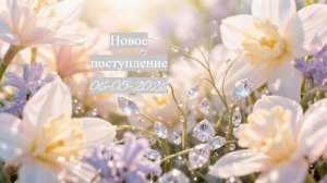 Новое поступление 06-05-2026