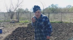 Помогаем деду Матвею на огороде