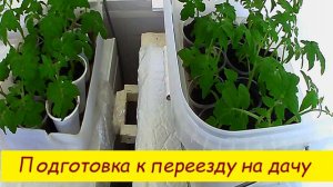 Подготовка к переезду на дачу