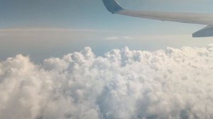 УЛЕТАЮ ОТ ВСЕХ РАЗБОРОК НИЩЕБРОД ПОБИРАЙСЯ ДАЛЬШЕ