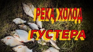 Холод, ветер, густера