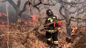 В Туву стягивают дополнительные силы спасателей.