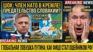 Он перекрыл электричество Украине зимой. Теперь едет на поклон в Москву. Кто такой Фицо