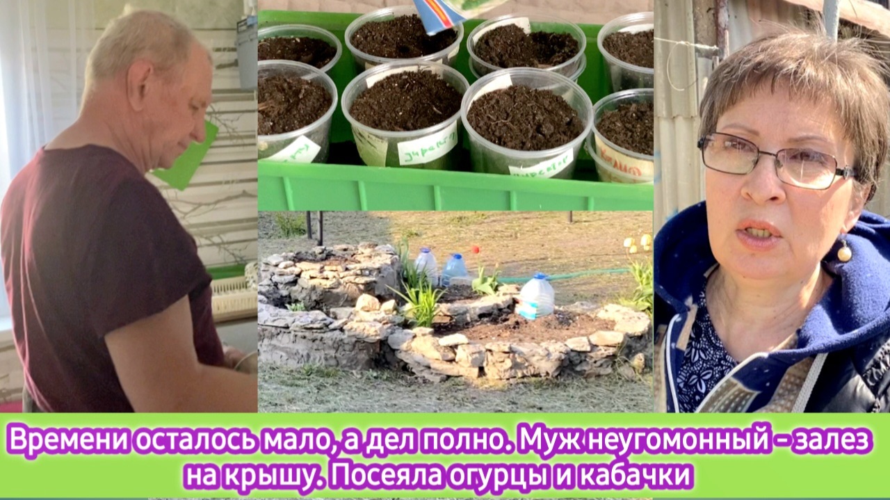 Времени осталось мало, а дел полно. Муж неугомонный - залез на крышу. Посеяла огурцы и кабачки