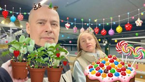 В Поисках Клубники и Конфет…