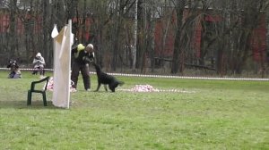 05-02-2026_ЧР по БРР Группа Б Шестой участник 1-2-3-4 этапы