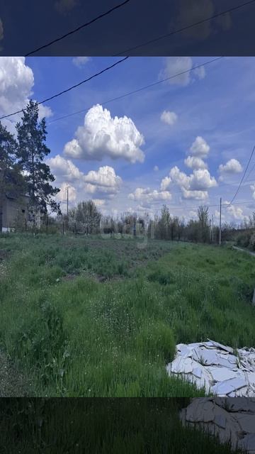12603308 смотреть онлайн