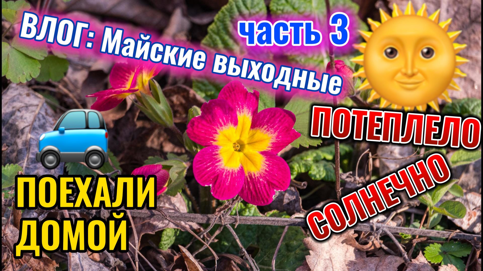 Первомай - уехали на дачу 3 мая 2026 г часть 3