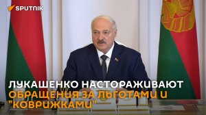 Лукашенко настораживает поток обращений за льготами и «коврижками»