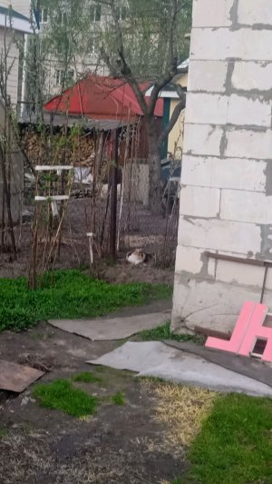 Донаты

Создайте кошелёк на сайте Студии RUTUBE,

чтобы подключить донаты